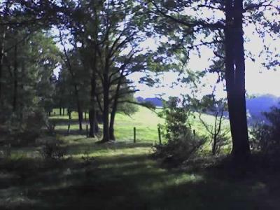 27-09-06_1608