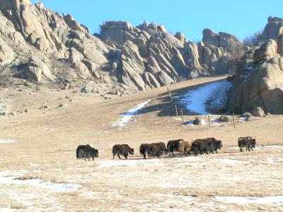 Nationalpark in der Mongolei