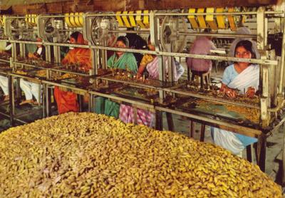 Silk Production, Rajshahi, East Pakistan
<br />
Issued by Department of Tourism Gouvernment of Pakistan Club Road Karachi