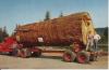Giant Fir Log<br />
This 13'000 board feed speciman is typical of the giants still found in the virgin forests of Oregon. A lot of lumber in this one. Ektachrome by J. Boyd Ellis<br />
Pub. by Smith Western, Inc. 224 S.W. Jefferson, Portland, Oregon