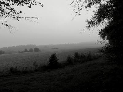 02102010839