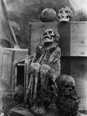 peruvian-mummy_241_600x450