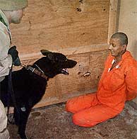 cia_4
