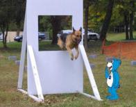 cia_dog_smaller