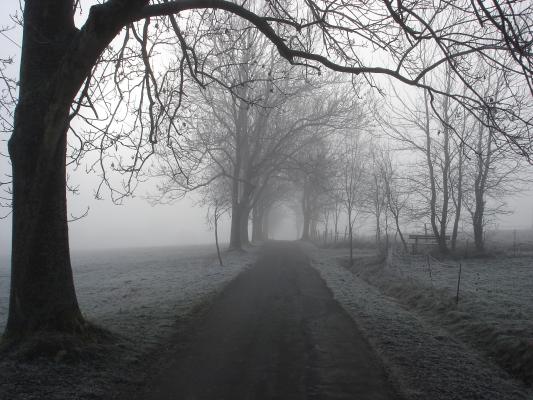 heimweg-im-nebel