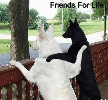 friends4life