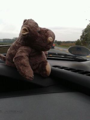 IMG-20121104-WA0002