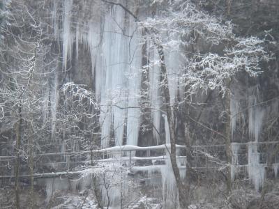 Frutzwinter-Dezember-2007-005