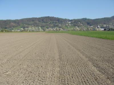 bluete-2007-024