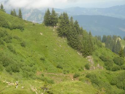 mellau-damuels-025