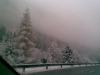 Bild016