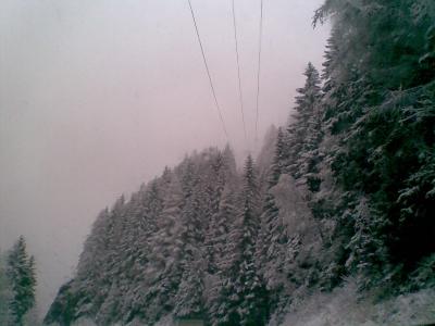 Bild017