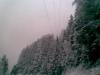 Bild017