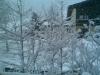 Bild023