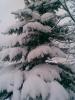 Bild024