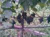 Bild045