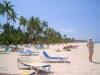 DomRep