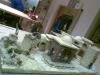 Krippe24_11-7-