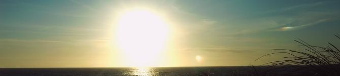 my way into the new life