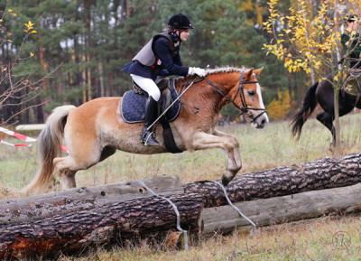 reitsport3
