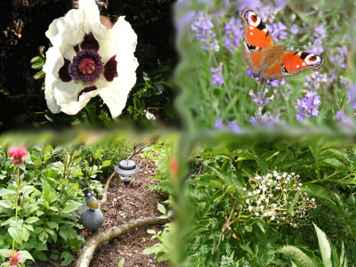 Sommer in der Eifel Sommer in der Eifel