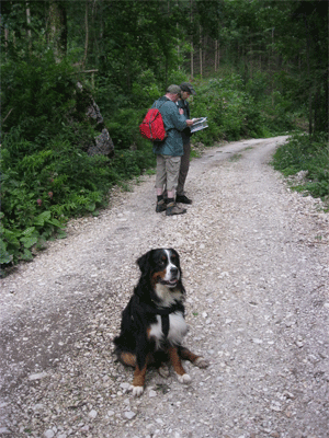Hugo_Wanderbild