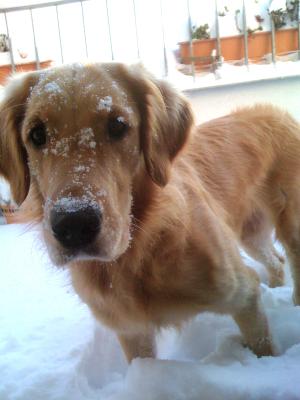 Emely im Schnee
