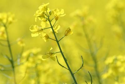 2011-04-25-2013-40-18-20-20IMG_0607-JPG