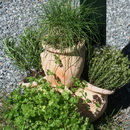 2011-05-22-2012-47-52-20-20IMG_0839-JPG