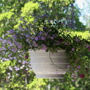 2011-05-22-2012-48-21-20-20IMG_0840-JPG