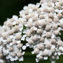 2011-07-15-25252014-02-14-252520-2525200012