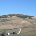 2012-01-31-2520026