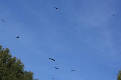 2012-02-14-252039