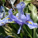 2012-02-14-252044