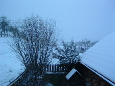 Schnee in Trunstadt, 24.01.2007