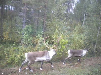 Finnland-069