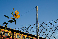 ostkreuz_bahnsteig_F