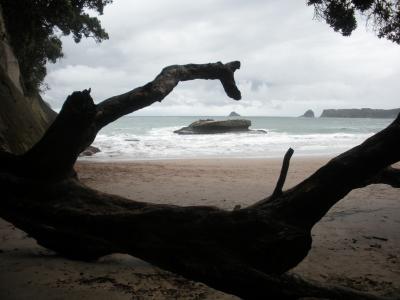 Cathedral-Cove1