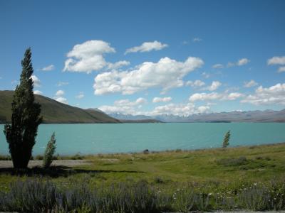 Lake-Tekapo