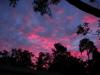 Lila-Himmel