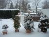 Muenchen-Schnee