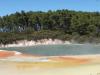 Waiotapu1