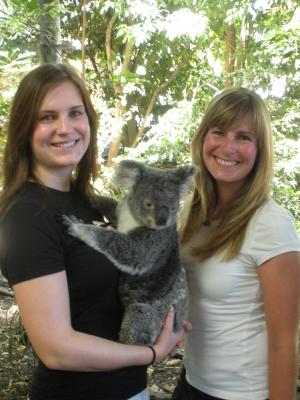 Wir-Koala
