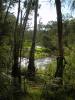 Yarra-River