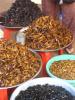 Leckereien auf dem Markt: Maden, Spinnen und anderes Getier