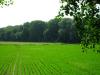 aus-meinem-versteck-l-v-