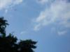 drei-bussarde-psychotisch-verw-