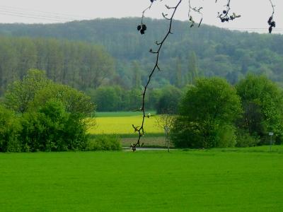 farbspiel-im-april-von-meinem-hochsitz-gesehen