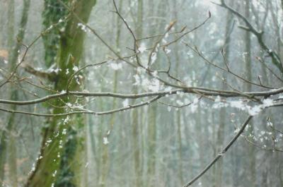 schnee-spinnen-und-baldiger-fruehling