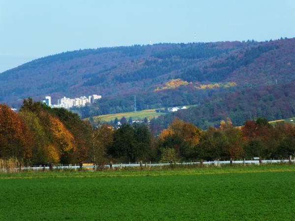 panorama-der-herbst-steht-auf-der-leiter-2